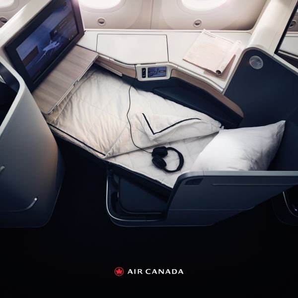 Air canada travel outlet pillow